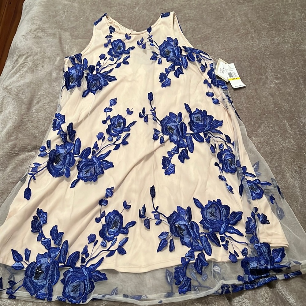 Floral Embroidered Mini Dress